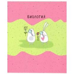 Тетрадь предметная Bunny. Алгебра, А5, 48 листов, арт. N2106