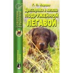 Дрессировка и натаска подружейной легавой