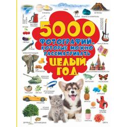 5000 фотографий, которые можно рассматривать целый год