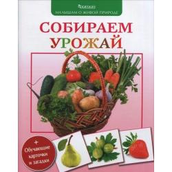 Собираем урожай + обучающие карточки и загадки