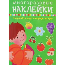 Что растёт в лесу, в огороде, на лугу. Многоразовые наклейки