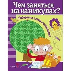 Чем заняться на каникулах? Лабиринты, схемы, головоломки. Выпуск 1