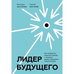 Лидер будущего. Как направлять энергию команды в нужное русло с помощью драйв-совещаний и фасилитаци