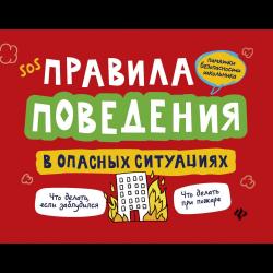 Правила поведения в опасных ситуациях / Толмачев Александр Вячеславович