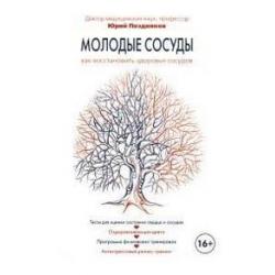 Молодые сосуды. Как восстановить здоровье сосудов