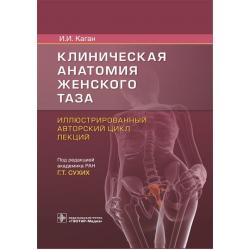 Клиническая анатомия женского таза. Иллюстрированный авторский цикл лекций