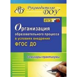 Организация образовательного процесса в условиях внедрения ФГОС ДО. Семинары-практикумы