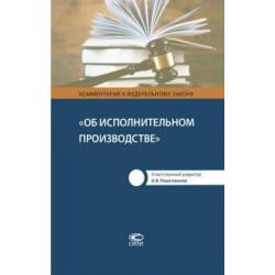 Комментарий к Федеральному Закону Об исполнительном производстве