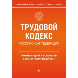 Трудовой кодекс Российской Федерации. Комментарий к новейшей действующей редакции