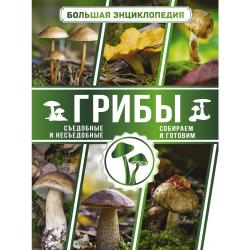 Большая энциклопедия. Грибы. Съедобные и несъедобные. Собираем и готовим