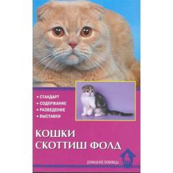 Кошки скоттиш-фолд. Стандарт, содержание, разведение, выставки