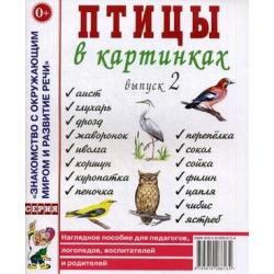 Птицы в картинках. Наглядное пособие для педагогов, логопедов, воспитателей и родителей. Выпуск 2