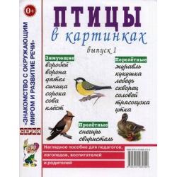 Птицы в картинках. Наглядное пособие для педагогов, логопедов, воспитателей и родителей. Выпуск 1