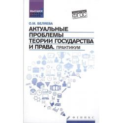 Актуальные проблемы теории государства и права. Практикум